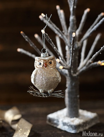 �������� ����