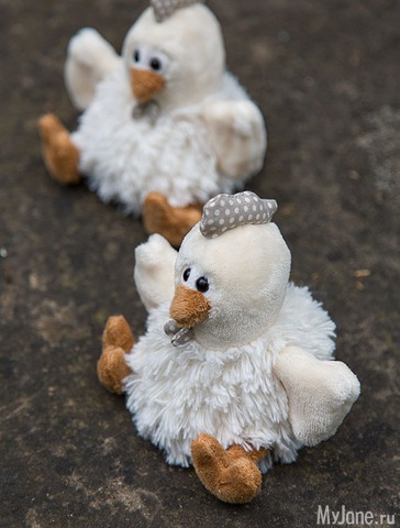 �������� ����