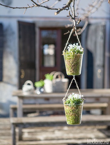 �������� ����