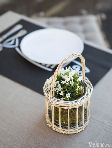 �������� ����