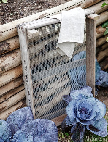 �������� ����