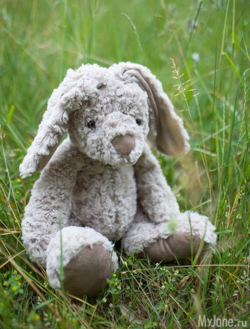 �������� ����