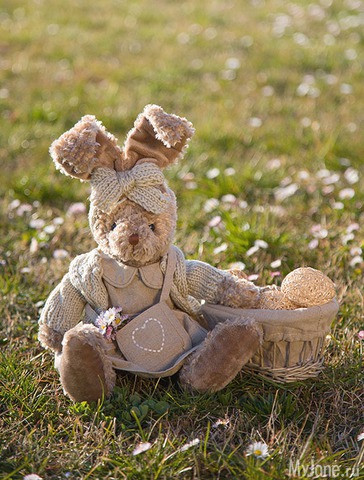 �������� ����