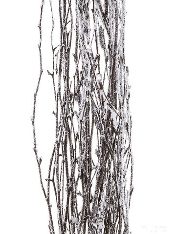 �������� ����