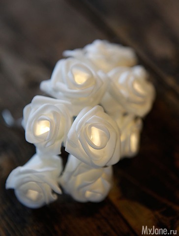 �������� ����