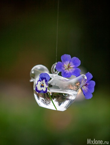 �������� ����