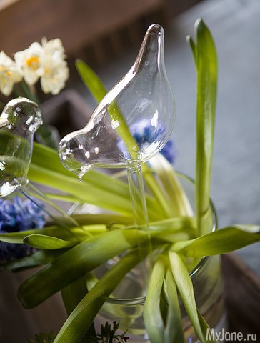 �������� ����