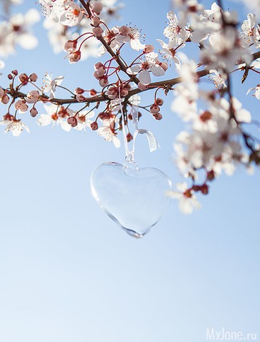 �������� ����