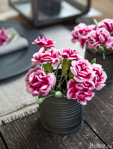 �������� ����