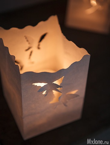 �������� ����