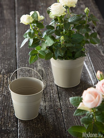 �������� ����