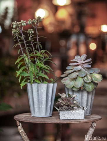 �������� ���� 2