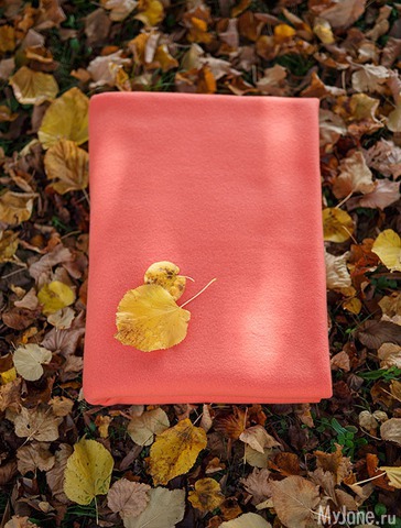 �������� ���� 2