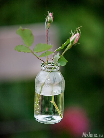 �������� ���� 2