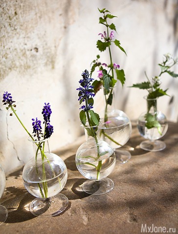 �������� ���� 2