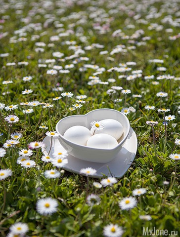 �������� ���� 3