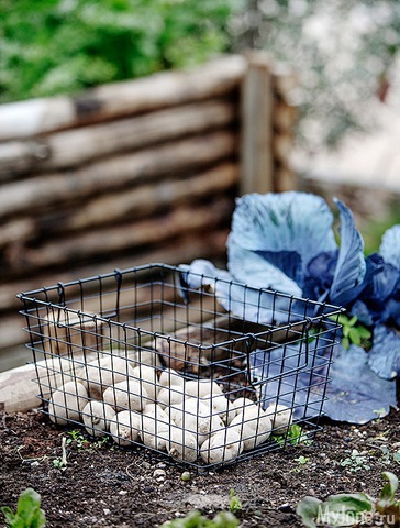 �������� ���� 3