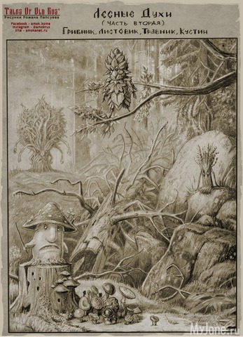 ��������������� ������ ������