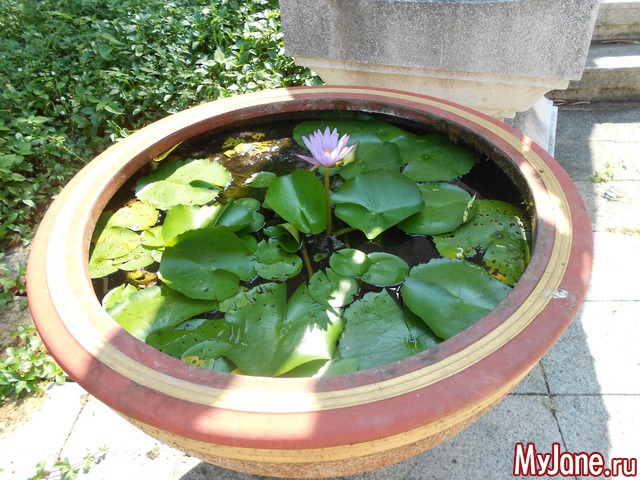 ������� �������.