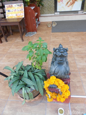 ������� �������.