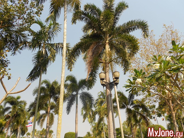 �� ���������� ��������� ��������� ��� ��.