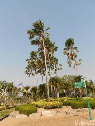 ������� �������.