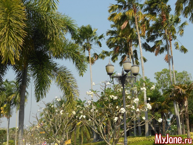 ������� �������.