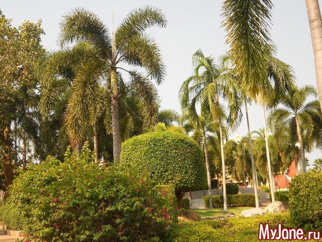 ������� �������.