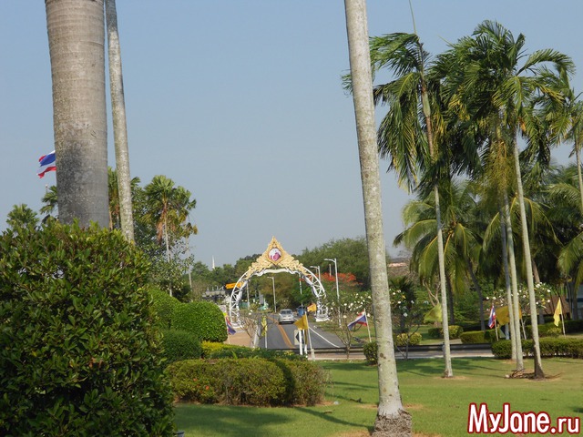 ������� �������.