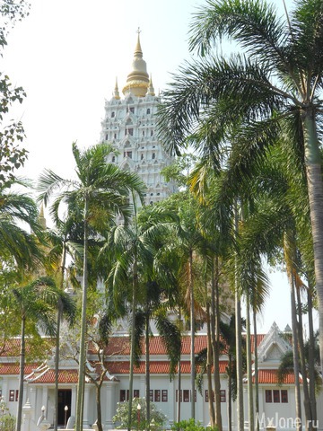 ������� �������.