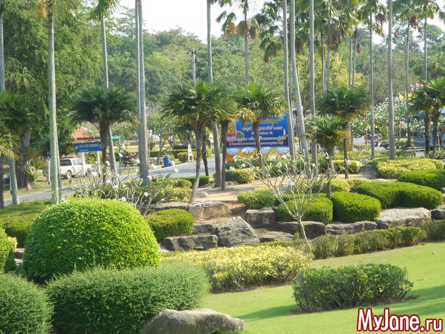 ������� �������.