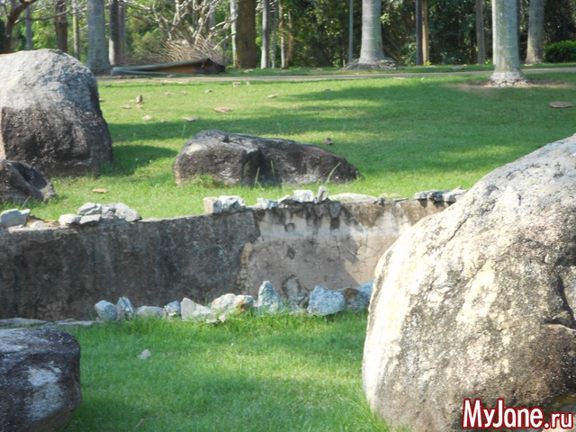 ������� �������.