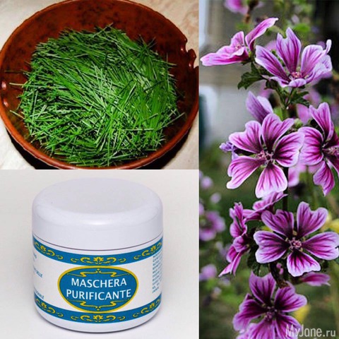 ����� ���������