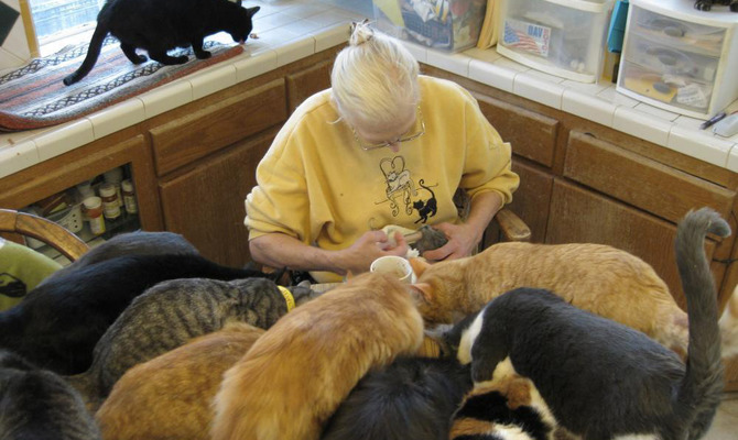 Animal Hoarding: любовь? Нет, болезнь!