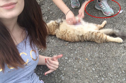 � ���������� ���������� 16-������ ���������