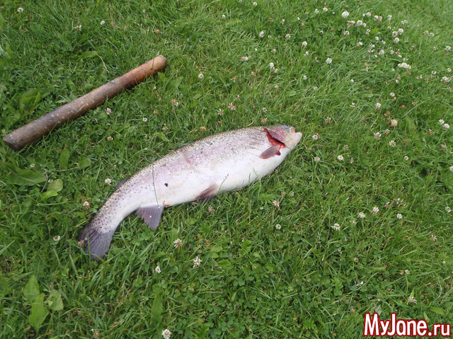 ������� ������