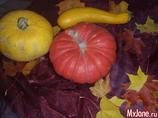 �������  ����