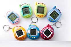 �������� ����� ���� ���� ������