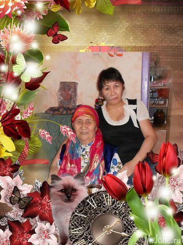 ��� ����