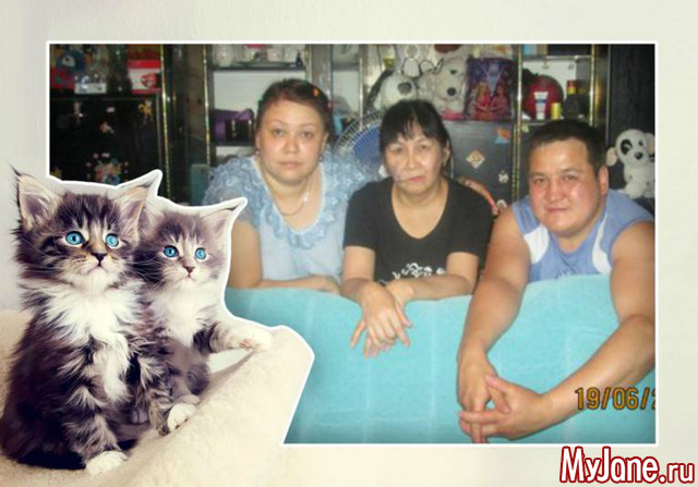 ��� ����