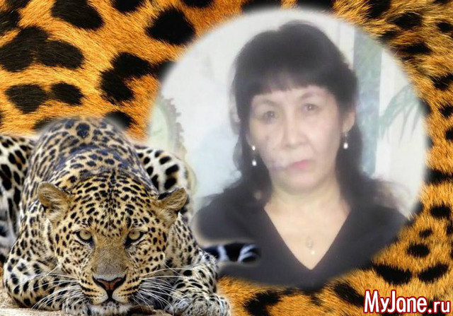 ��� ����