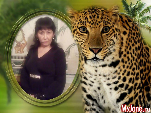 ��� ����