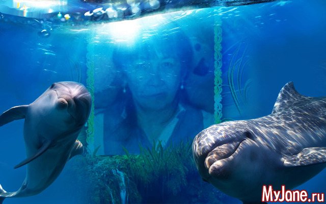 ��� ����