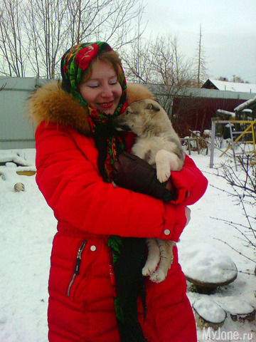 ��������� ����