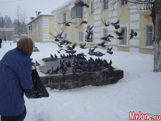 ��������� ����