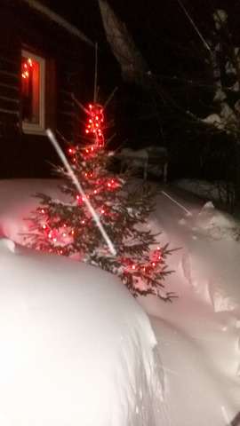 ������ � ����������� ���������