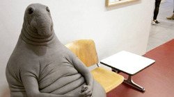 ������ ������ ����