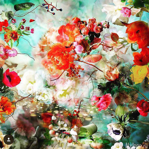 ����� �� ������