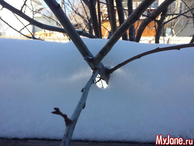 ������� ����