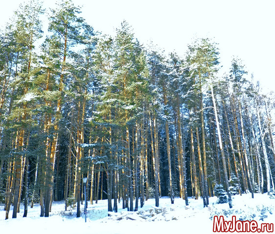 ����� �� �������� - �����������!